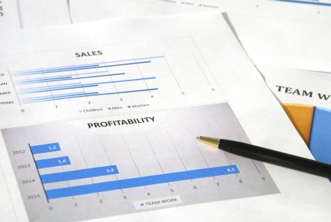 Sales and Profitability Report